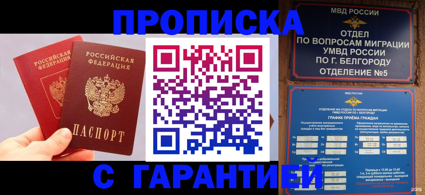 прописка 2025 в Меленках
